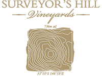 Surveyors Hill Logo